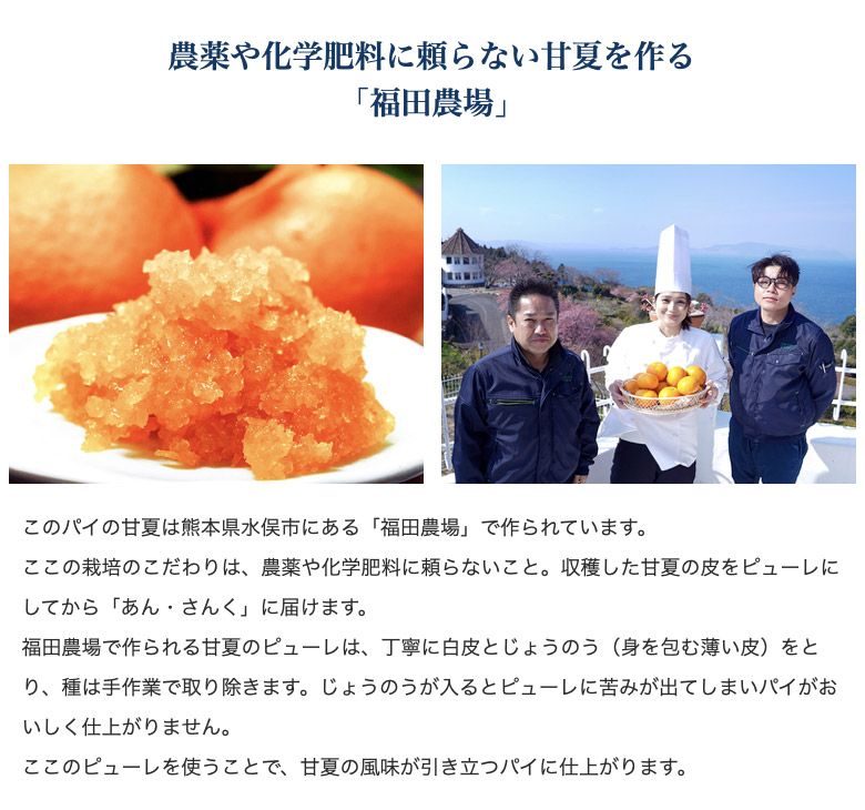 熊本県津奈木町 お菓子の国 あん・さんく 「甘夏パイ」 1個 ※常温 送料