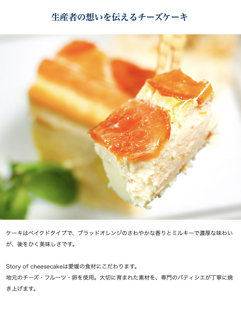 10月11月12月おやつ便　オーダーページ　シフォンケーキサンド　チーズケーキ 7、8、9月オーダーページ シフォンケーキサンド チーズケーキ