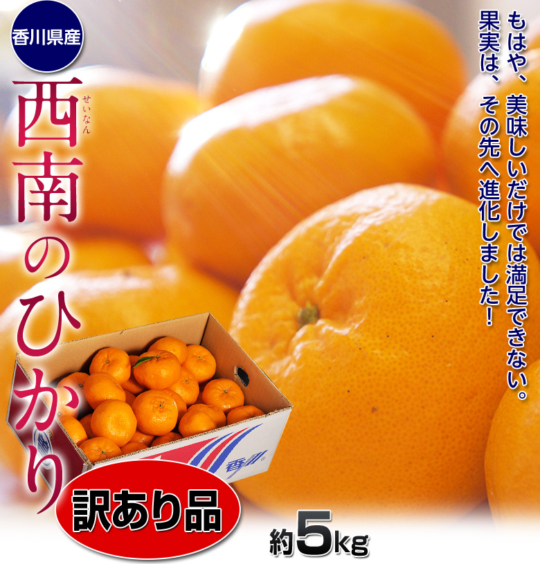 西南のひかり 約5kg 訳あり品 S〜2Lサイズ 香川県産 ※常温 JA香川県