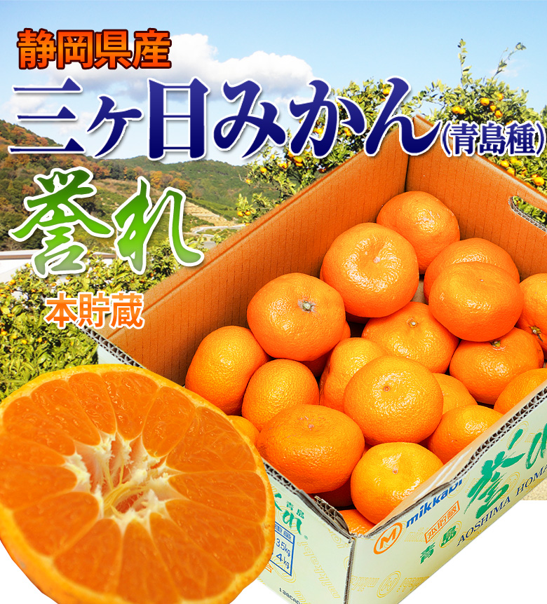 静岡県産 三ヶ日みかん「誉れ」青島種 優品以上 2〜3Lサイズ 約3.5kg