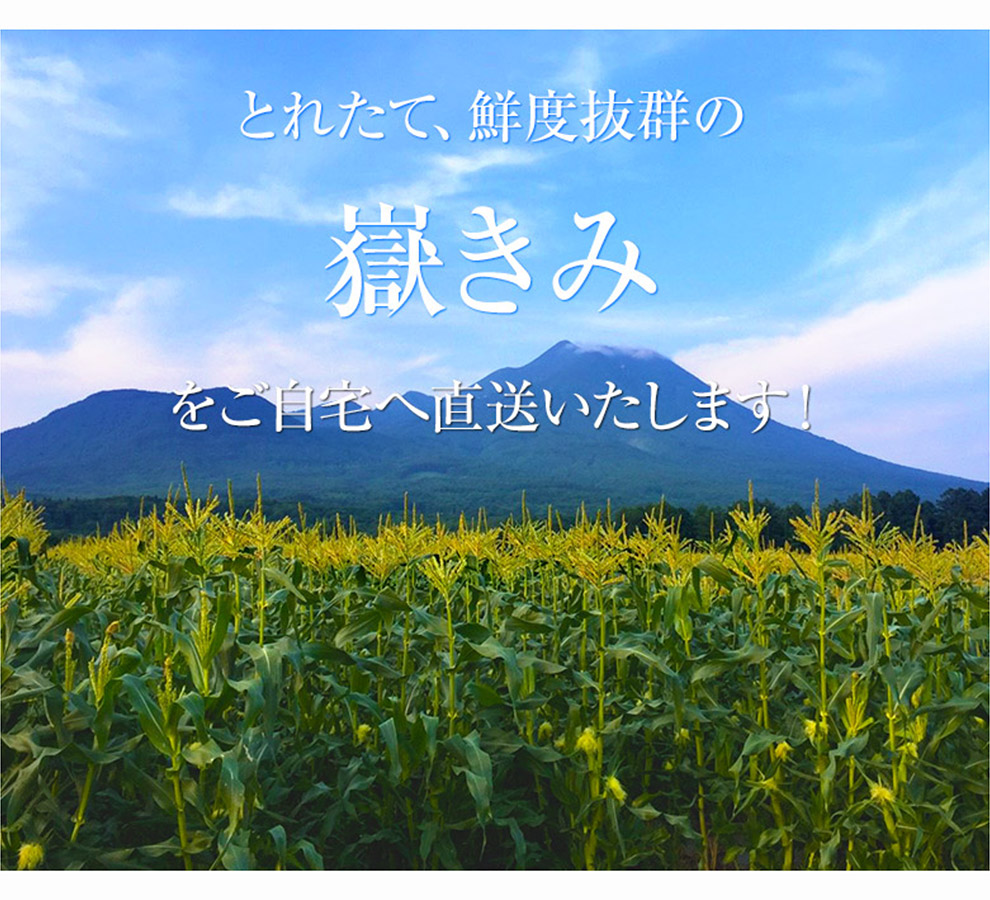 樹皮の宝石 山葡萄かごバッグ hm07－03 | ちいくろ工房