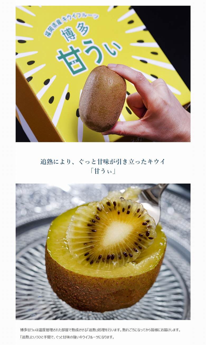 ハッピー　キウイ6L～7L9個2箱、キウイ5L 12個入り 博多甘うぃ（あまうぃ）』 福岡県産 キウイフルーツ 5L 大玉限定 約1.4 果物
