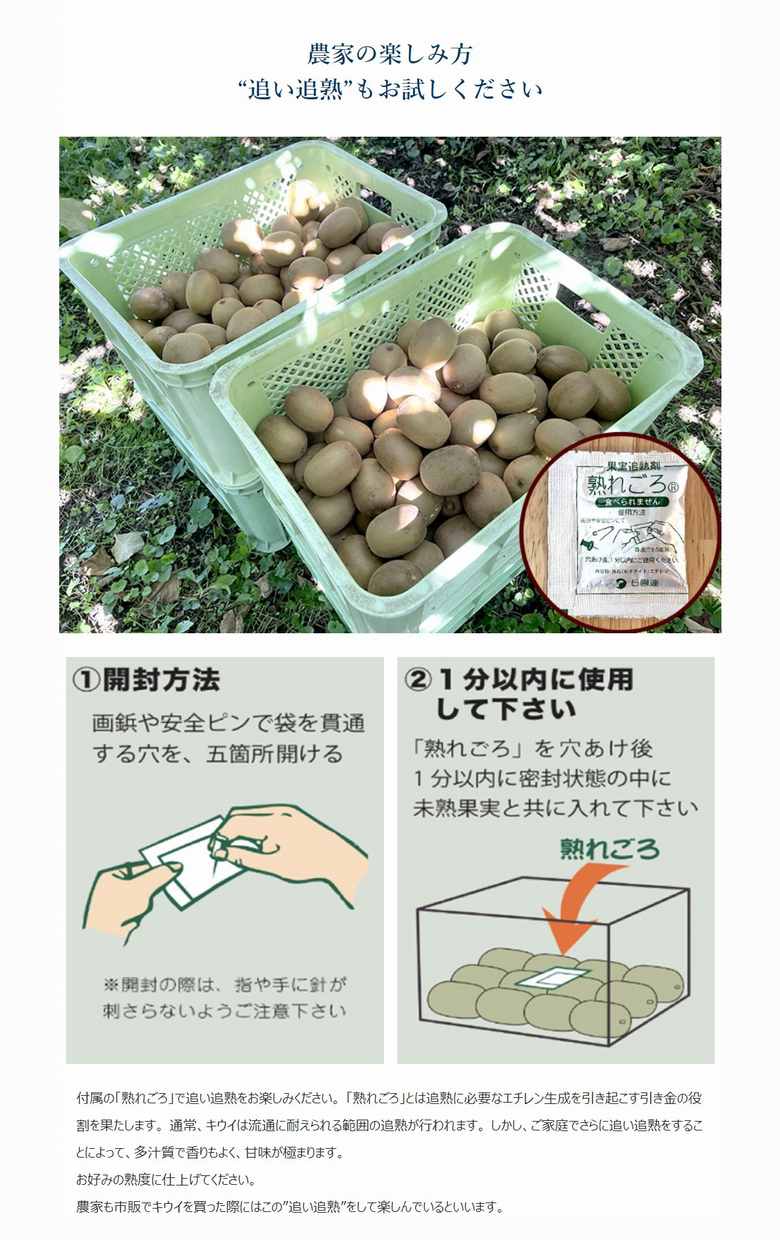 博多甘うぃ（あまうぃ）』 福岡県産 キウイフルーツ 5L 大玉限定 約1.4
