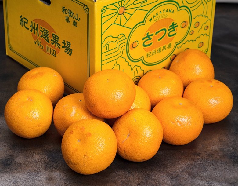 さつき八朔』和歌山県産 柑橘 L〜4L 9〜10kg 産地箱 風袋込 キズ・スレ