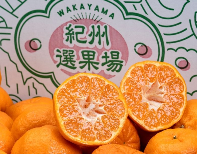 紀州選果場 ポンカン 和歌山県産 L〜4L 約9kg 産地箱 ※常温 送料無料