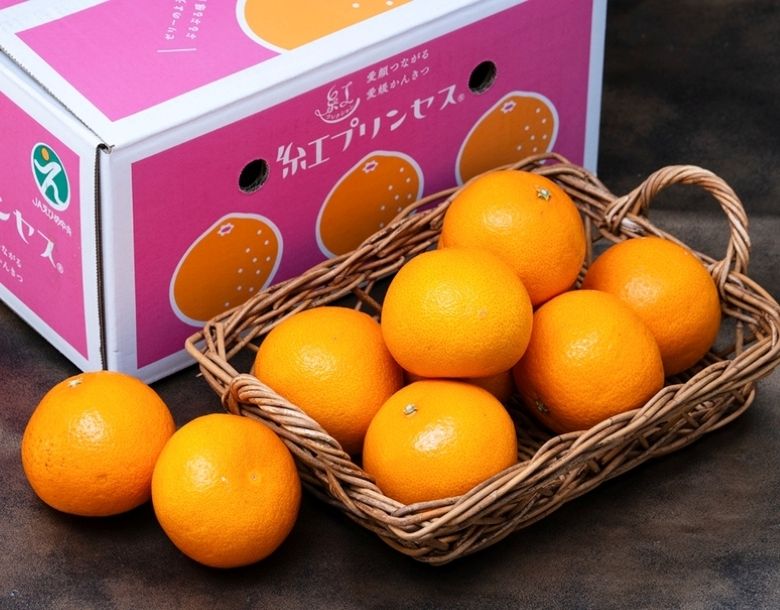 新品種 紅プリンセス （品種：愛媛果試第48号） 愛媛県産 M〜4L 約2.4