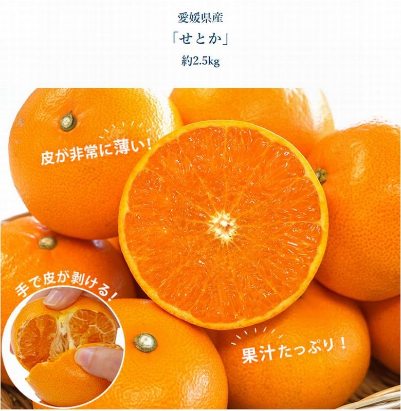 デコポン＆せとか セット」 計約5kg （各約2.5kg） 簡易箱 ※常温