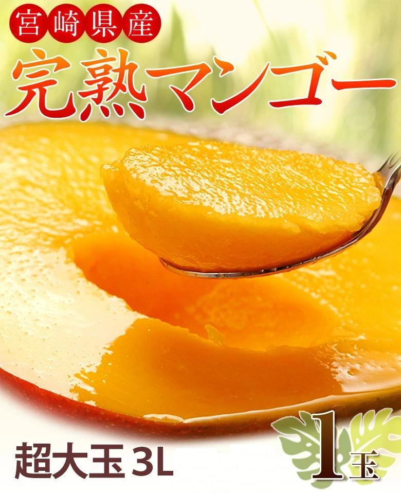 超大玉3L みやざき完熟マンゴー 宮崎県産 1玉 約450g 簡易箱 ※常温