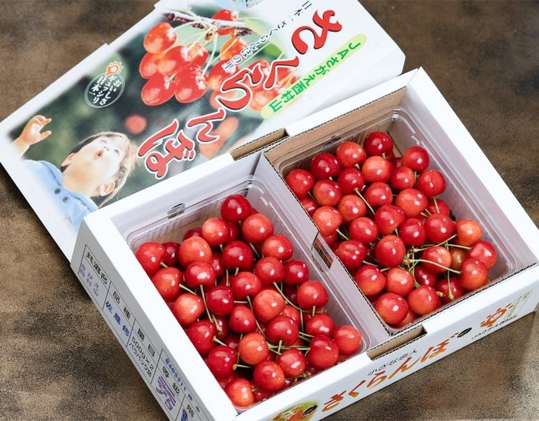 さくらんぼ（佐藤錦または紅秀峰） 山形県産 秀品 L〜2L 約1kg （約
