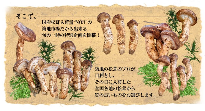 そこで、国産松茸入荷量“NO.1”の築地市場だから出来る旬の一時の特別企画を開催！築地の松茸のプロが目利きし、その日に入荷した全国各地の松茸から質の良いものをお選びします。