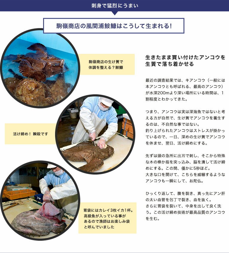 送料無料 あんこう アンコウ 刺身用 青森県 風間浦村産 活け締め鮟鱇 刺身150g以上 肝30g 50g 尾側 3 4人前 冷蔵 3z いただきマルシェ 通販 Yahoo ショッピング 送料無料 あんこう アンコウ 刺身用 青森県 風間浦村産 活け締め鮟鱇 刺身150g以上 肝30g 50g 尾側 3 4人前 冷蔵 3z いただきマルシェ 通販 Yahoo ショッピング