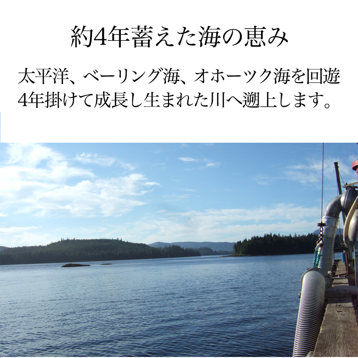 紅鮭,鮭,塩鮭,甘塩,甘塩鮭,ギフト,母の日,父の日,お中元,敬老の日,勤労感謝の日,お歳暮