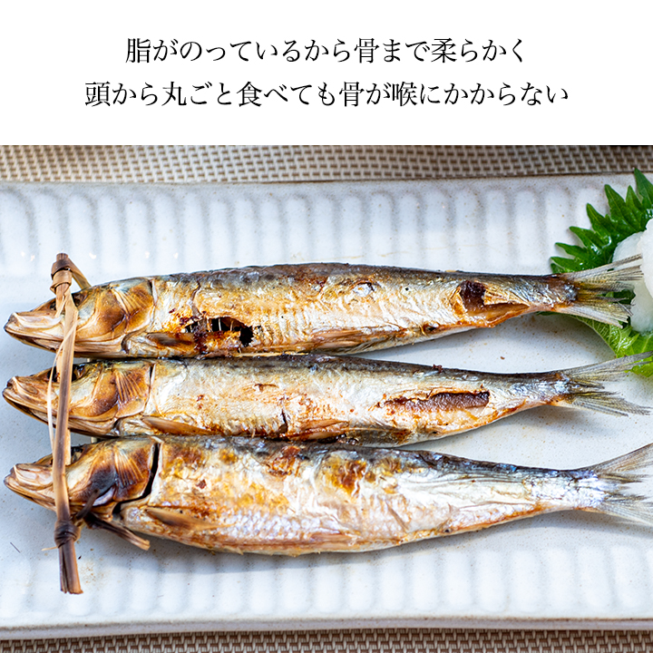 いわし丸干し6尾入り×2パックセット 愛知県産 送料無料 2個で