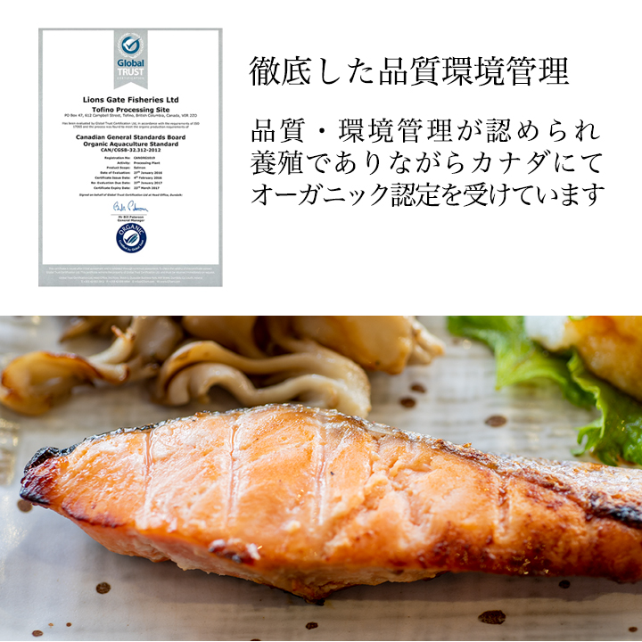 キングサーモン 鮭