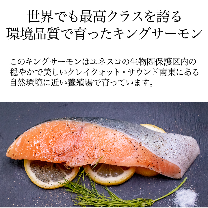 キングサーモン 鮭