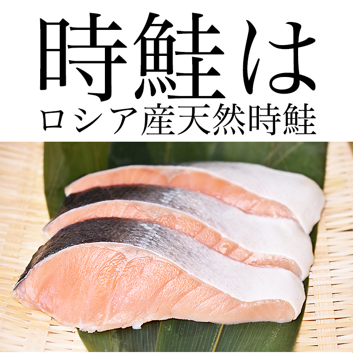天然 鮭 紅鮭 白鮭 時鮭 お歳暮ギフト