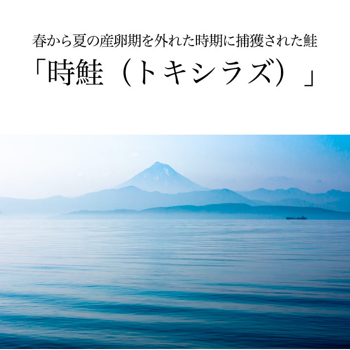時鮭 時不知 トキシラズ