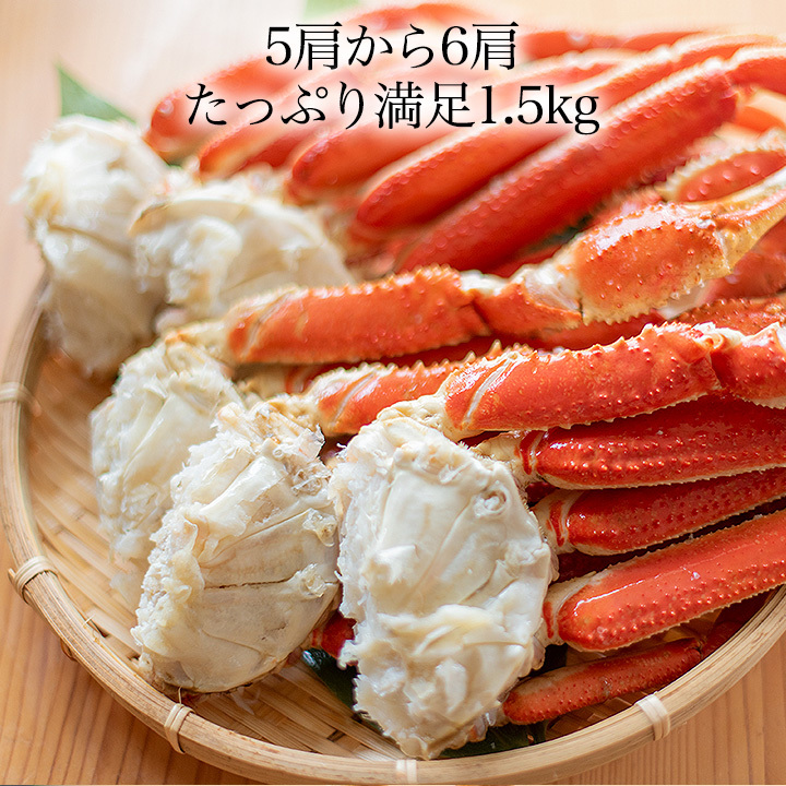 送料無料 厳選 ズワイガニボイル セクション 15肩から18肩入り 約4.5kg