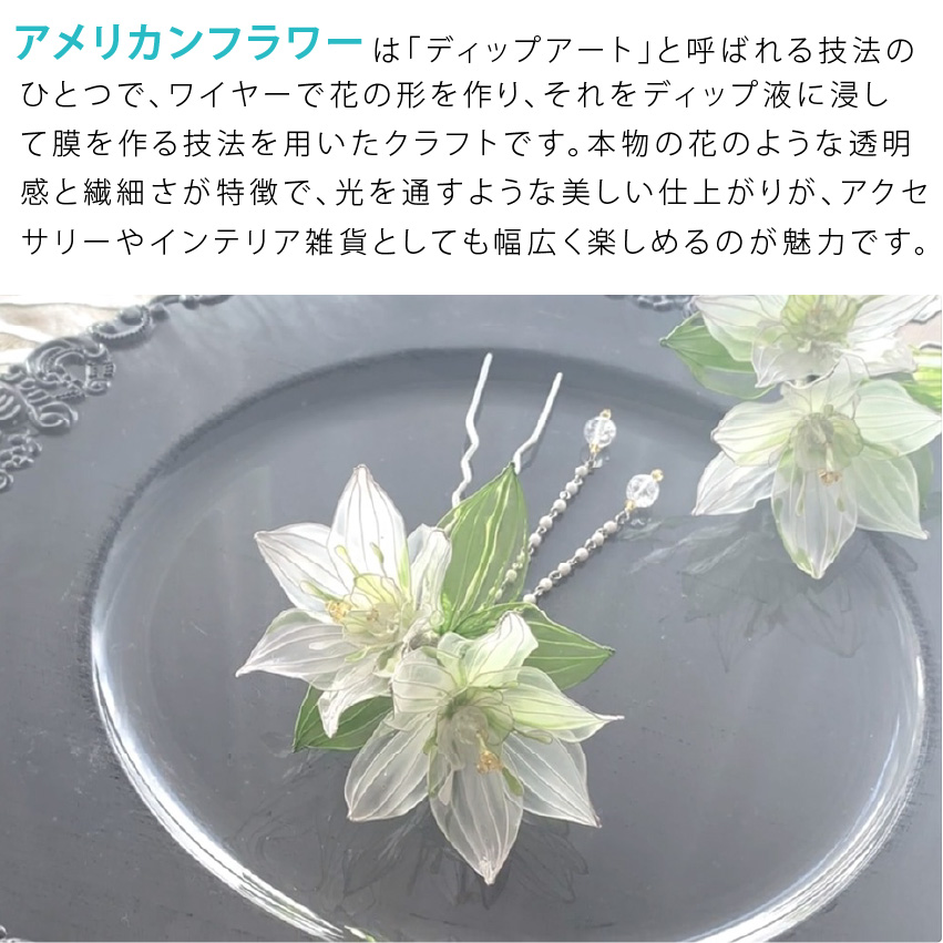 専用ページアメリカンフラワー（ディップフラワー） Amazon.co.jp: FUNSHOWCASE アメリカンフラワー ディップ液 12色
