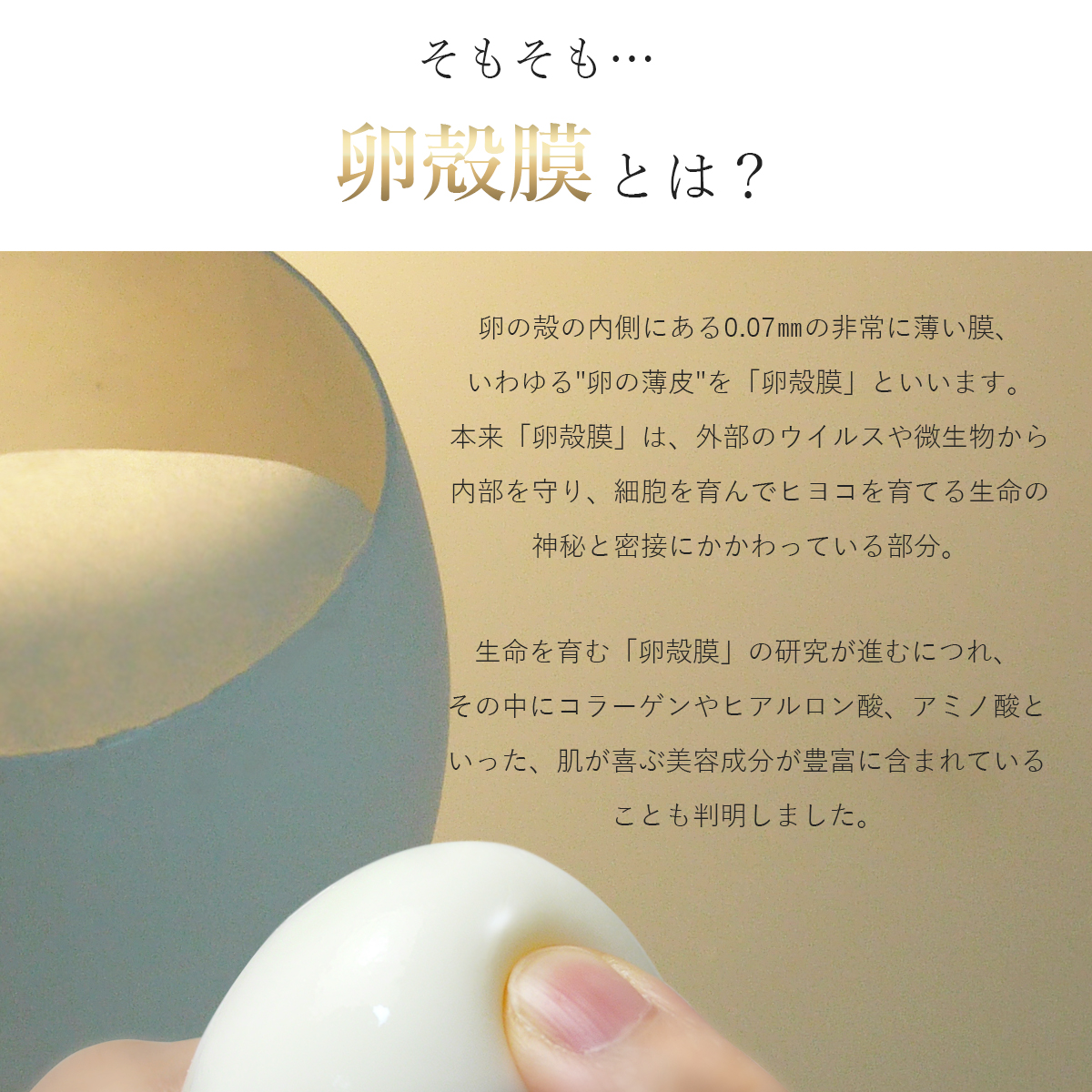 楽天市場】美容液 スキンケア 【re.∞ リムゲンブースターセラム