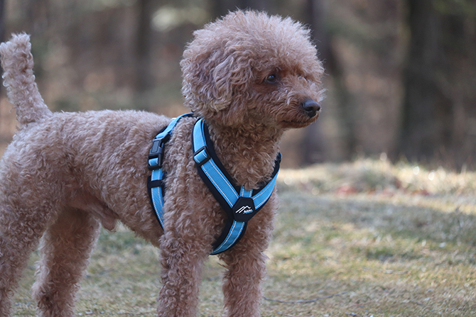 ポイント10倍 [Hakusan]オーダーメイドのようなフィット感。体に優しく