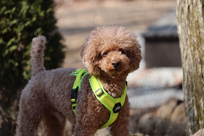 ポイント10倍 [Hakusan]オーダーメイドのようなフィット感。体に優しく