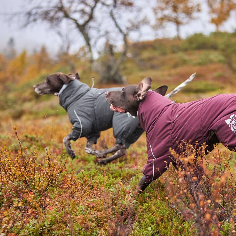 ポイント10倍 フィンランドのドッグブランド【Hurtta】【フルッタ