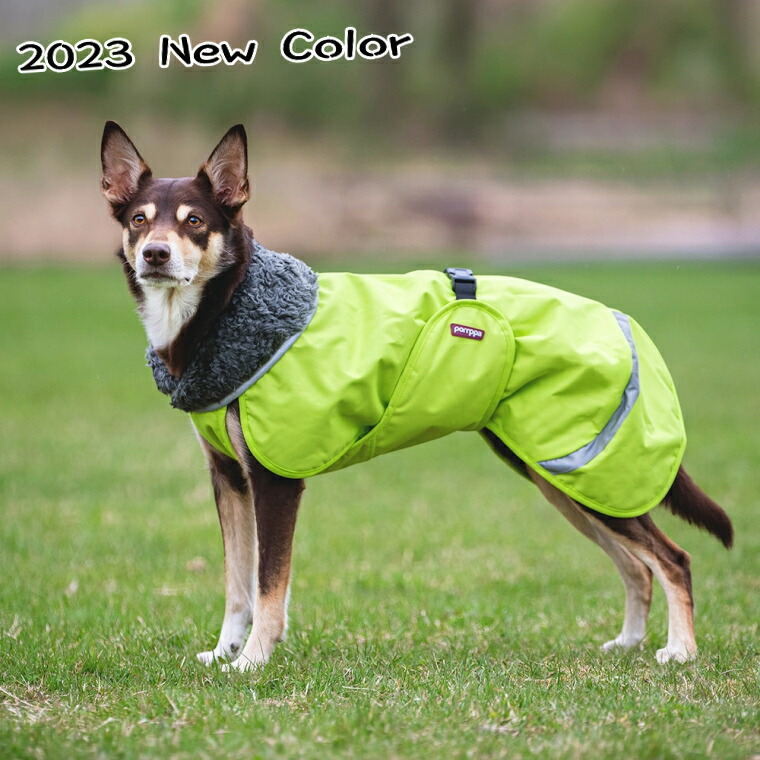 ポイント10倍 2018年・2019年 フィンランドのドッグブランド【Pomppa