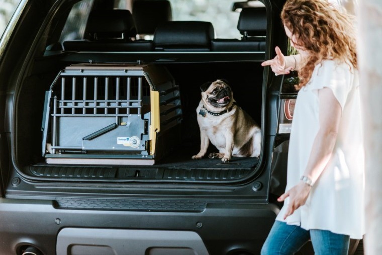 ポイント10倍 スウェーデン・MIM SAFEの安全性が高い小型犬用ドッグ