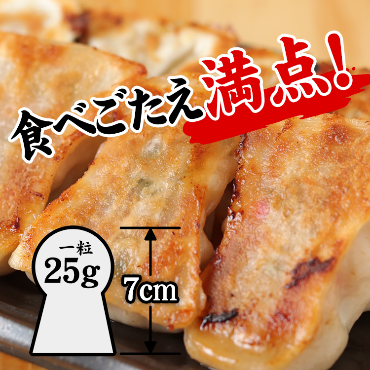 餃子 60個 餃子専門店 取り寄せ 焼餃子 20個×3箱 にんにく味 もっちり ジューシー 皮がパリッ 冷凍 ぎょうざ : 餃子専門店紬刃 ...