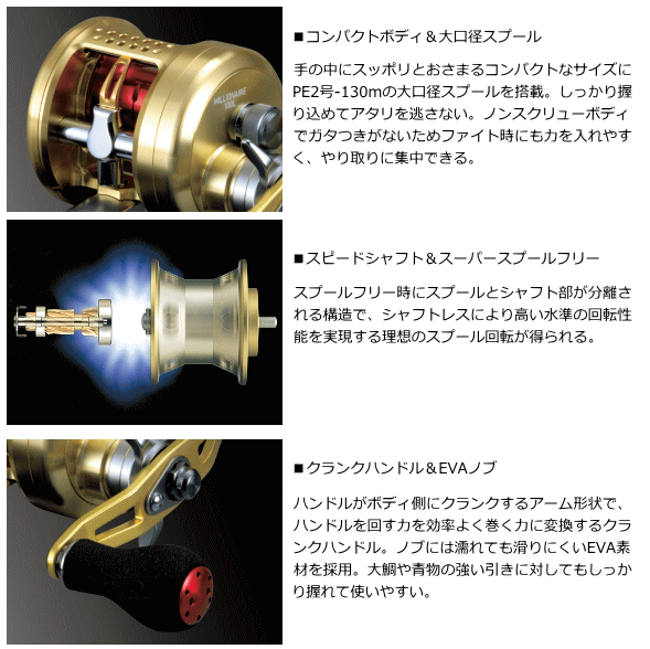 DAIWA（ダイワ） 14 ミリオネア 100L / daiwa / 釣具 : 釣人館ますだ