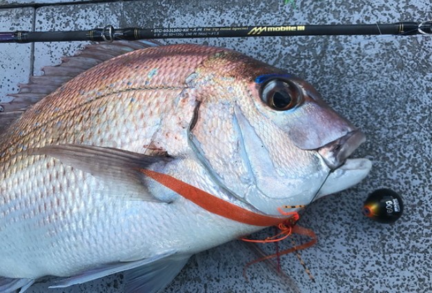 Abu Garcia（アブガルシア） ソルティステージ KR-X タイラバ モバイル