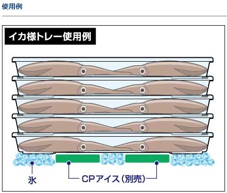 DAIWA - イカ様トレー M 5枚セット ダイワ トレー」の人気商品一覧 | 安い商品を通販サイトから探す