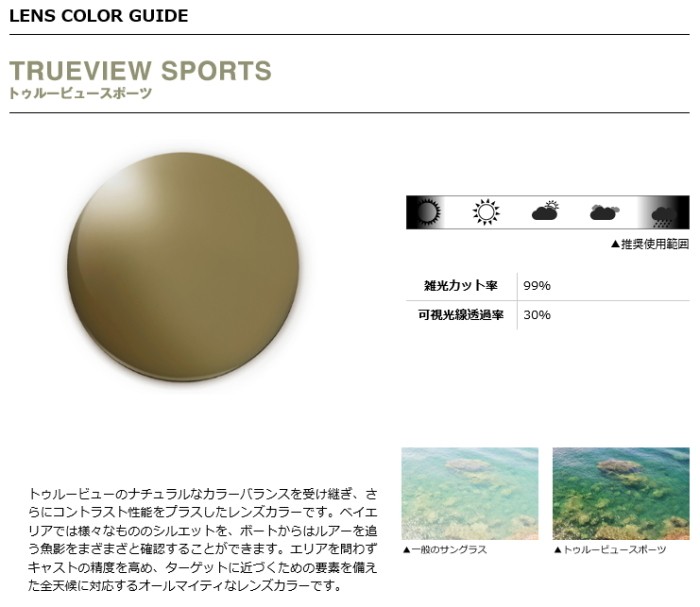 【未使用美品】TAREX DAIWA 偏光サングラス TLO 028 TV 釣り DAIWA（ダイワ） 偏光サングラス TLO 018 TVS トゥルービュースポーツ