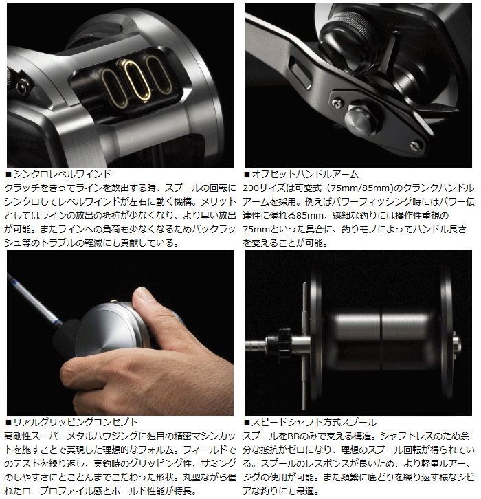 DAIWA（釣り） ダイワ 15 キャタリナ BJ ベイジギング 200SH-L