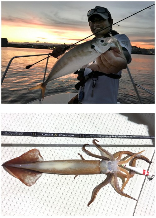 Abu Garcia（アブガルシア） アブ ガルシア ソルティスタイル クアッド