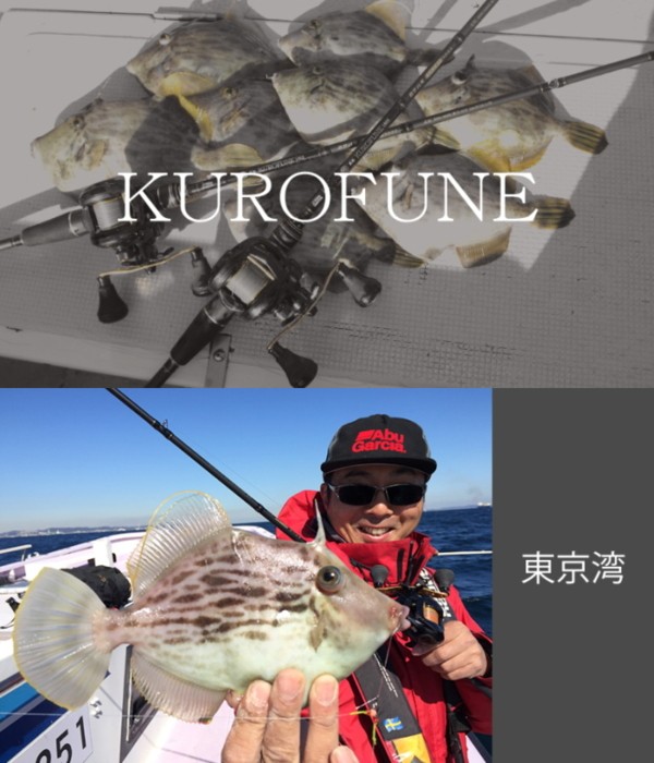 Abu Garcia ベイトリール アブ ガルシア 黒船 KULOFUNE LT 右