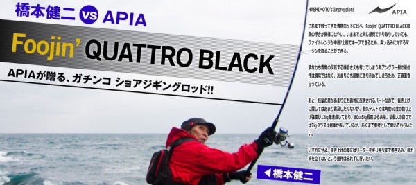 アピア　風神　クワトロブラック　ワイルドシング　106H Foojin'QUATTRO BLACK | APIA