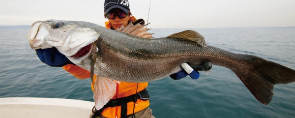 DAIWA（ダイワ） シーバスロッド ソルティスト BS 66MLB / daiwa