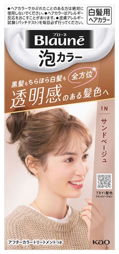 花王 ブローネ 泡カラー 1N サンドベージュ (1セット) 泡タイプ 白髪用ヘアカラー 白髪染め　医薬部外品 | ブランド登録なし