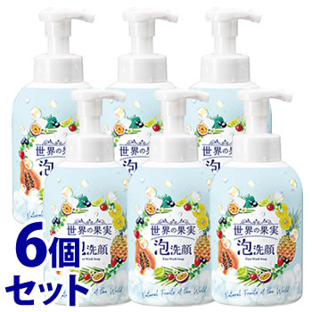 《セット販売》　ウィルミナ 世界の果実 すっきり泡洗顔 (500mL)×6個セット 洗顔フォーム　送料無料 | ブランド登録なし