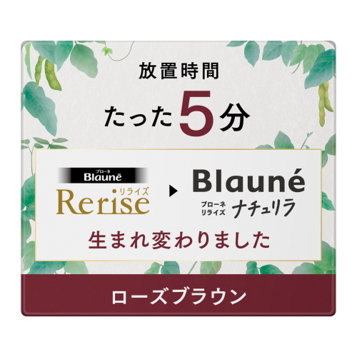 セット販売》 花王 ブローネ リライズ ナチュリラ 色長持ちカラー