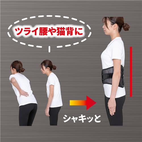 ミノウラ 腰椎コルセット ムービングベルト S〜Mサイズ : ツルハ