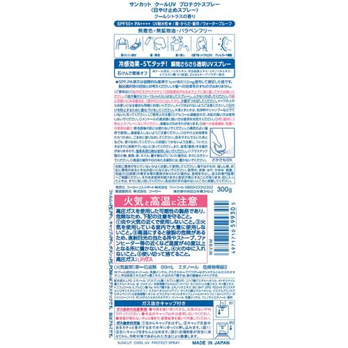 【旧品につき訳あり・在庫処分】コーセーコスメポ...の詳細画像1