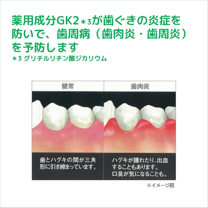 セット販売》 サンスター ガム デンタルペースト (35g)×6個セット 薬用 