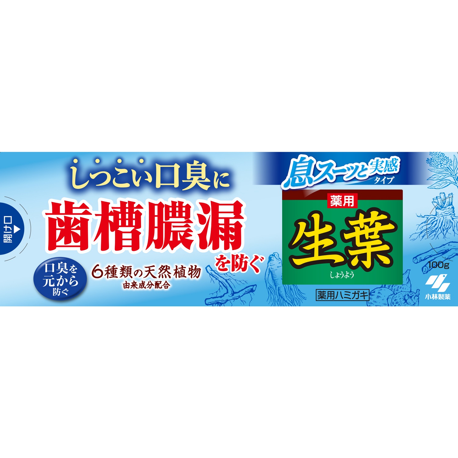 小林製薬 生葉EX (100g) 生葉 薬用ハミガキ 医薬部外品 : ツルハ