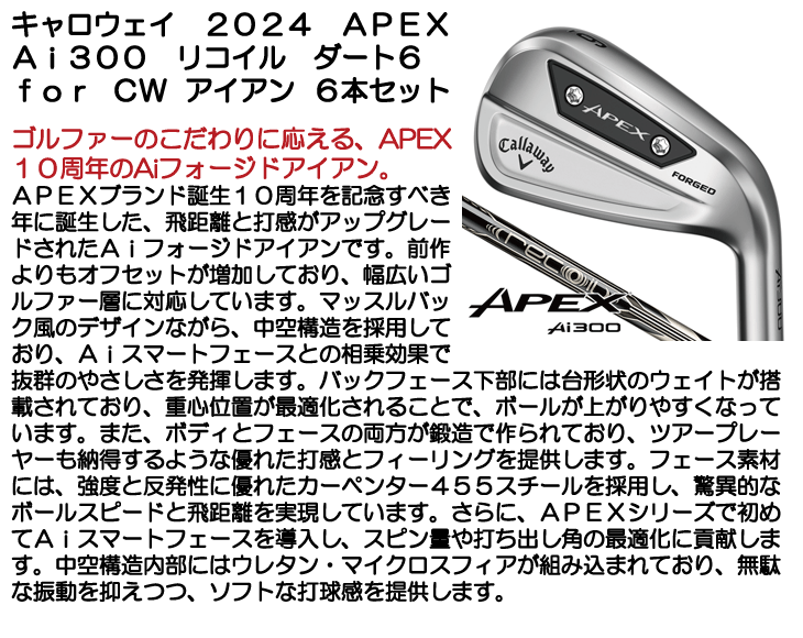 購入専用販売ページ APEX（キャロウェイゴルフ） Callaway APEX Ai200 IRON CUSTOM