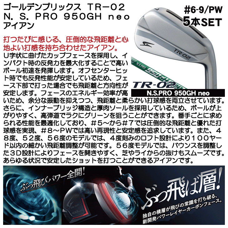 ゴールデンプリックス TR-02 アイアン 5本セット (#6/7/8/9/PW) N.S.