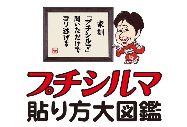 レダ（Leda） プチシルマ DX5.5 ツボ専科 30粒パック 替えシール