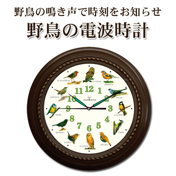 野鳥の電波掛時計 鳥の鳴き声掛時計 12種類の鳥のさえずり 直径40cm｜tsuten2